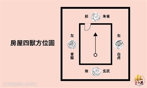 瓦斯爐在龍邊|廚房風水